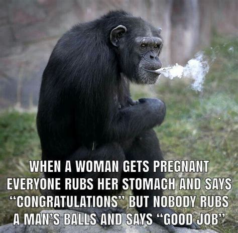 Funny Monkey Quotes Shortquotescc