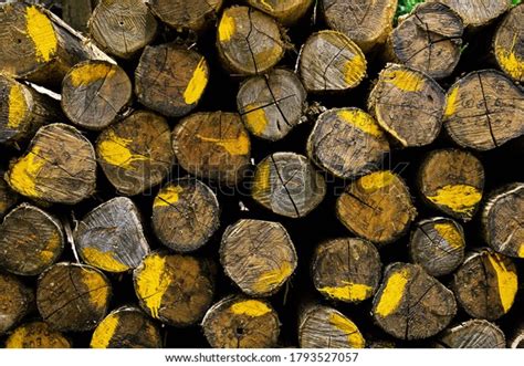 Log Piles Color Lumber Industry Background Stock Photo 1793527057