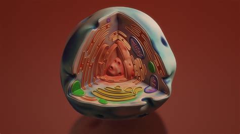 A Estrutura Representada No Desenho Abaixo é