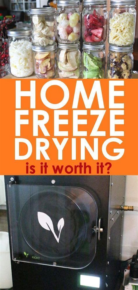 Beginners Guide To Home Freeze Drying Harvest Right Personal Review