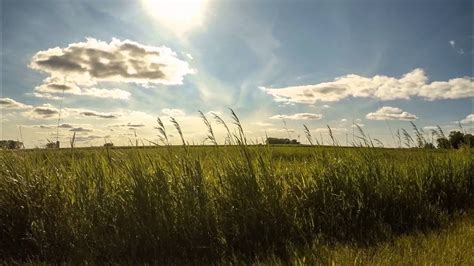 Field Sunny Day Time Lapse Youtube