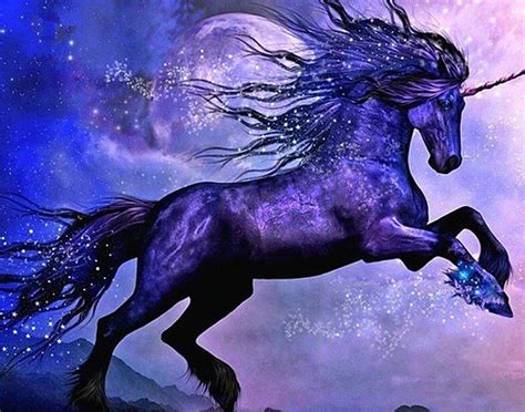 Black Unicorn Symbolism And Spiritual Meaning Animal Hype