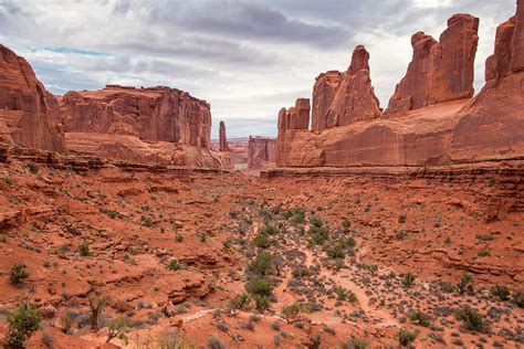 Park Avenue In Arches National Park Photograph By Stephanie Mcdowell