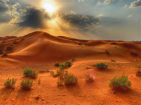 Desert Wallpapers Top Free Desert Backgrounds Wallpap