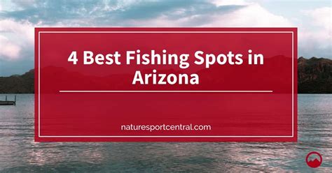 4 Best Fishing Spots In Arizona