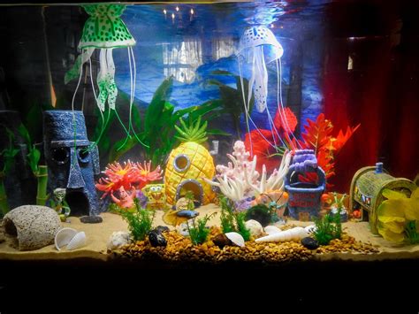 How Hollywood Got Aquarium Decorations Diy All Wrong Peces De Acuario