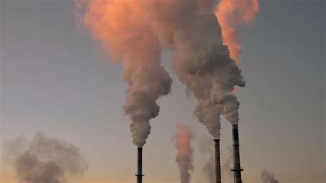 Hazardous Air Pollutant Exposure Linked As Factor In Covid 19 Mortality