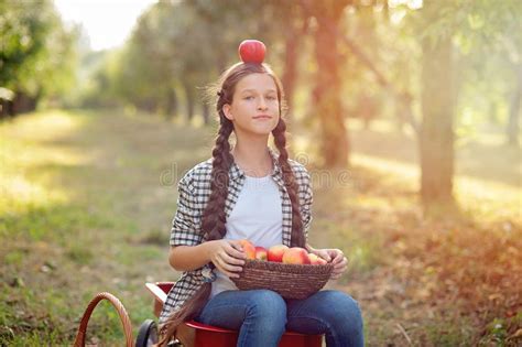 Girl With Apple In The Apple Orchard Stock Image Image Of Pick