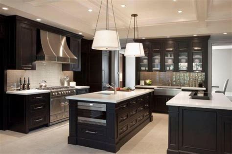 You can highlight some item in the kitchen. 16 Dramatic Dark Kitchen Design Ideas