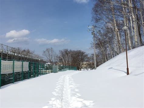 The site owner hides the web page description. 冬のちょっとした風景〜雪の小樽公園の白樺林横から花園 ...