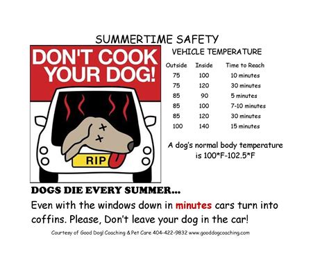 5 Simple Summer Pet Safety Tips