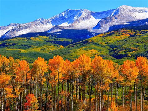 Autumn Colorado Fall Snowy Mountains Nature Landscape Hd