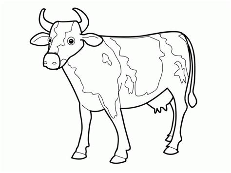 Cow Coloring Pages For Kids Coloring Home