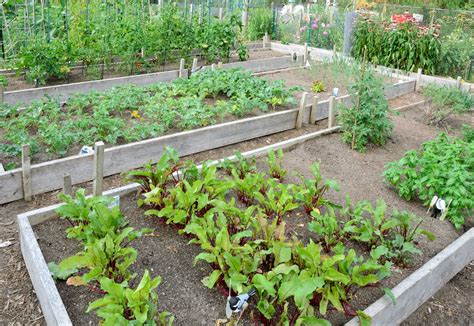 Maybe you would like to learn more about one of these? Einen Gemüsegarten planen und anlegen - HeimHelden