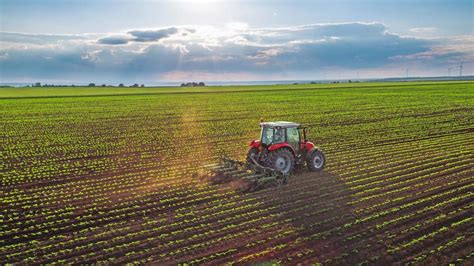 Azerbaijans Agricultural Enterprises Increase Revenues