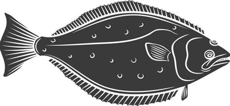 Halibut Vector Images Over 420