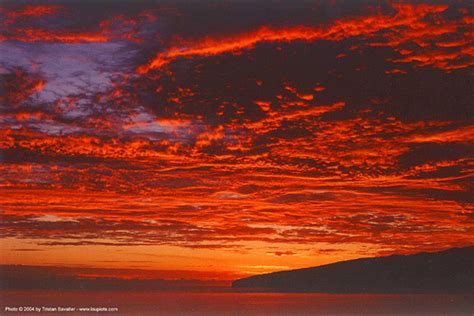Red Sunset Sky Over The Ocean