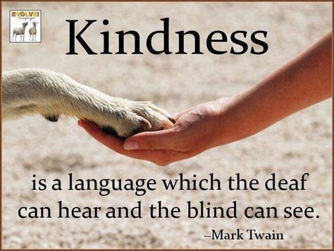 ♥be Kind To Animals♥ With Images Animal Quotes Kindness Quotes