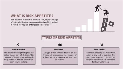 Risk Appetite Example