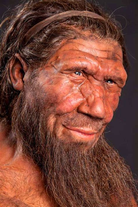 Scientists Produce Map Of Neanderthal Denisovan Ancestry In Present Day Humans Sci News