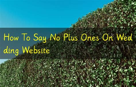 How To Say No Plus Ones On Wedding Website