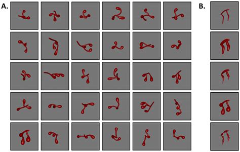 The physical expression of emotion may also be the same (i.e., racing heart, flushed sensations, increased breathing rate). Stimuli used in Experiment 1. (A) Objects were ...