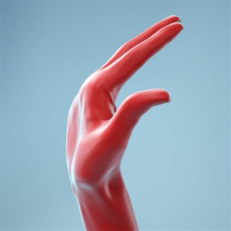 13 Female Hands Posed 3d Model Collection Cgtrader