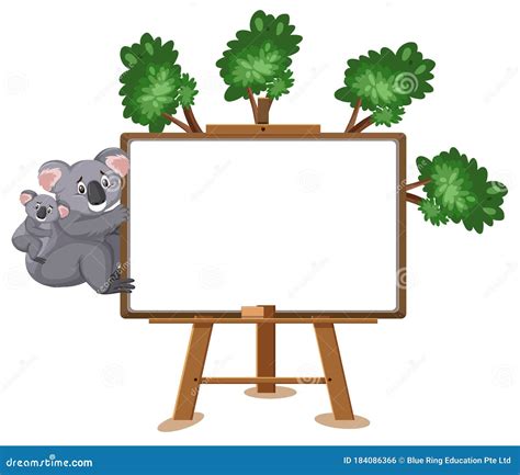 Koala Cartoon Character And Blank Banner On White Background Stock