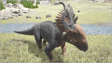 Ark Pachyrhinosaurus Guide Abilities Controls Taming Food Saddle