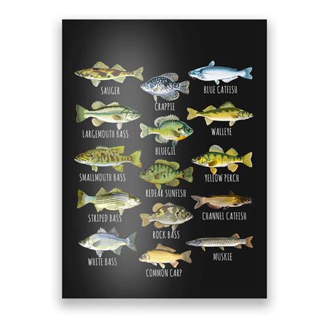 Kids Fish Species Biology Types Of Freshwater Fish Fishing Poster