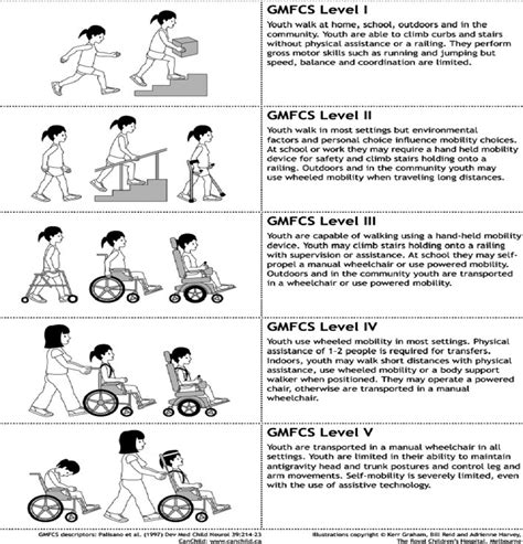 Gross Motor Function Classification System For Cerebral Palsy Gambaran
