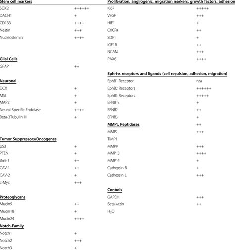 How does it work with the coronavirus? Summary of marker expression determined by RT-PCR ...