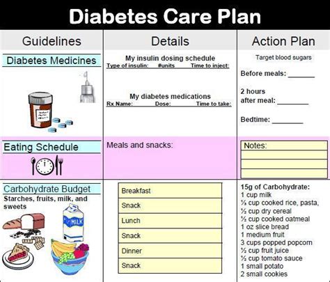 Diabetic Care Plan Template