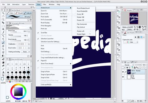 It has so many powerful features that can help you produce amazing manga and animation. Download CLIP STUDIO PAINT PRO 1.5.4