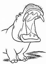 Hippo Coloring Roaring Netart Cliparts Drawing Colouring Library Clipart Roar sketch template