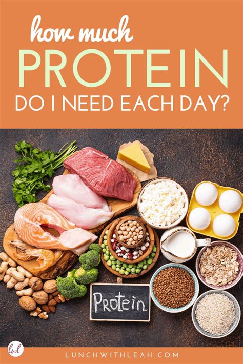 How Much Protein Do I Really Need Best Protein Nutrition High Protein Recipes