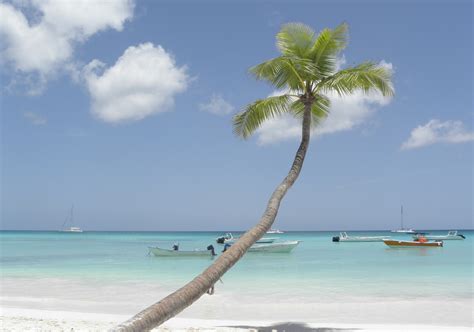 Aug 04, 2021 · ile (plural iles) obsolete form of aisle. Ile pardisiaque de saona : Plages : Mer : Bateaux ...