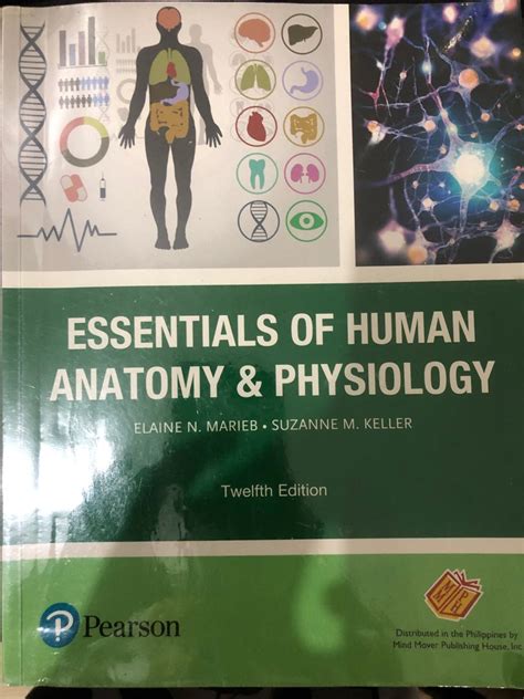 Essentials Of Human Anatomy And Physiology 12th Edition Hobbies