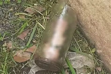 severed penis in jar found by man in mum s garden after noticing funny smell daily star