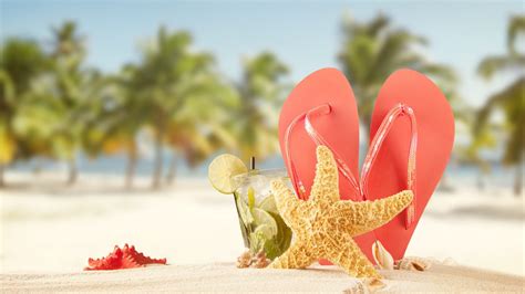 Tropical Vacation Theme Sand Starfish Beach Hd Wallpaper Download