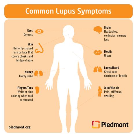 The Symptoms Of Lupus
