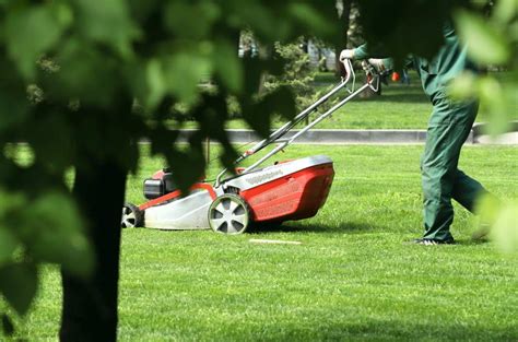 You want your business name to attract your target audience. 400+ Lawn Care Business Name Ideas (Free & Available ...
