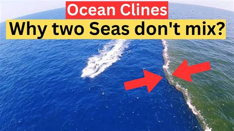 Two Oceans That Meet But Do Not Mix Atlantic And Pacific Oceans