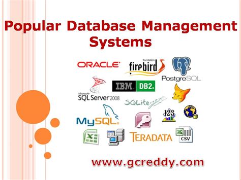 Popular Database Management Systems Software Testing