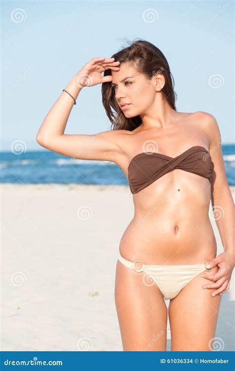Vorbildliche Aufstellung Des Schönen Bikinis Auf Dem Strand Stockfoto Bild Von Recht Brünette