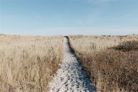 Free Images Path Outdoor Sand Horizon Marsh Wilderness Trail