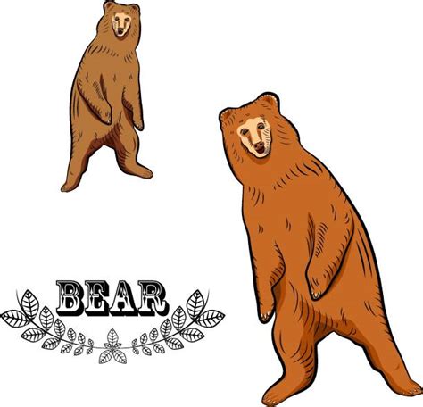 Best Grizzly Bear Standing Illustrations Royalty Free Vector Graphics