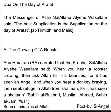 The day of arafah (arabic: Best time to make Dua Page-10 | Sayings, Arafat day, Dua