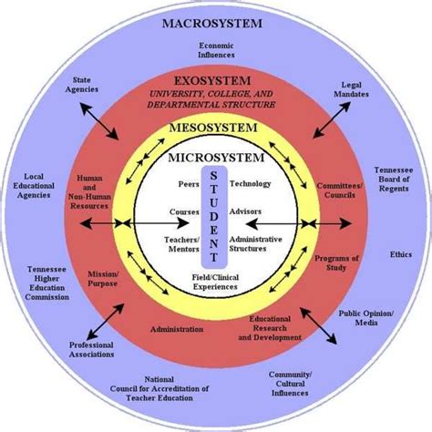 Bronfenbrenner S Bioecological Model Social Work Systems Theory