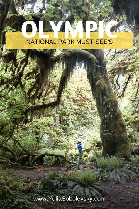 Olympic National Park 4 Beautiful Ecosystems You Need To Explore